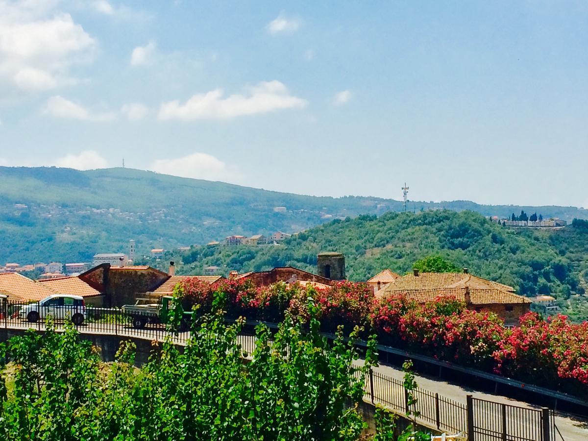 Pozzo Medievale Prignano Cilento Luaran gambar
