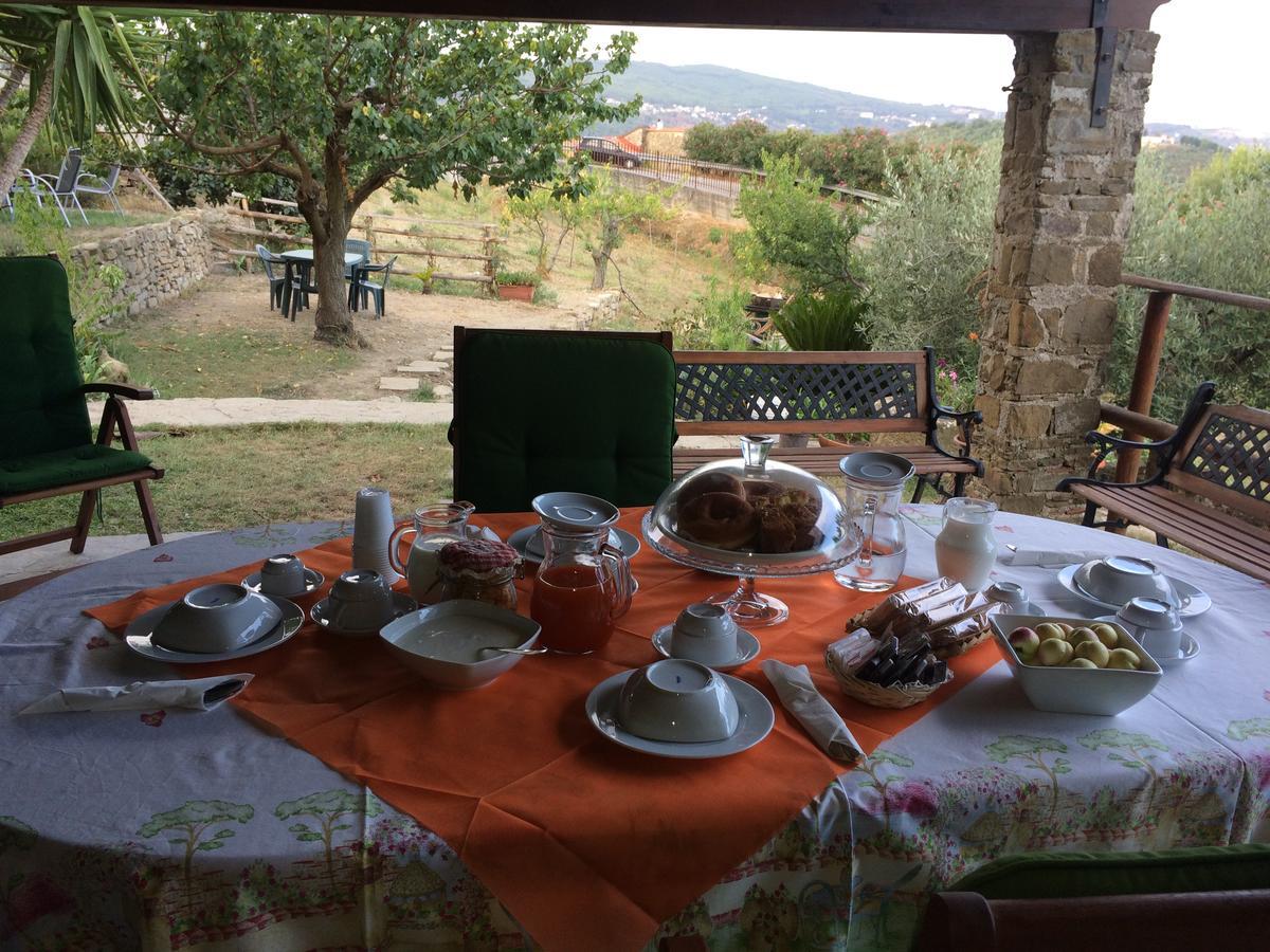 Pozzo Medievale Prignano Cilento Luaran gambar